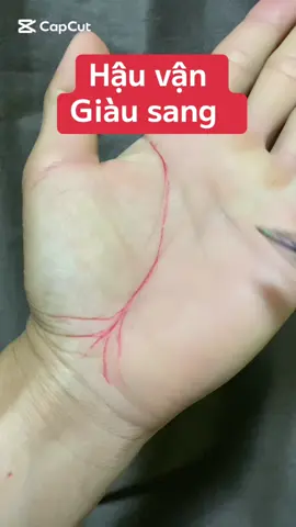 Chỉ tay đuôi Phượng #