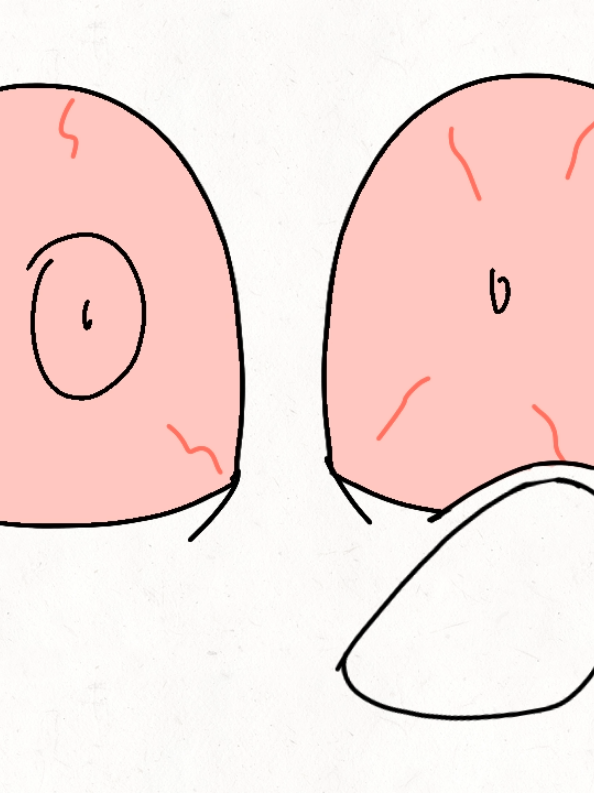 Смехуятина #смехуятина🤣 #анимация #мем 