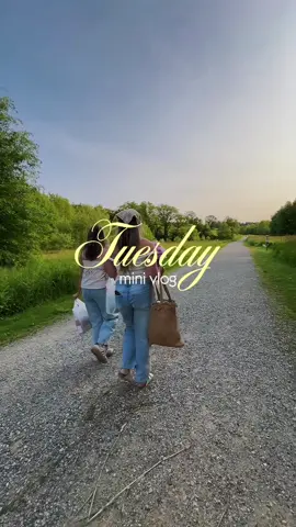 vkog from yesterday 🧺 #fyp #Vlog #picnicaesthetic 