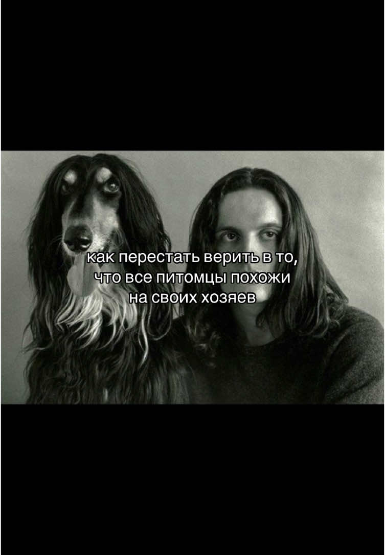 #fyp #рекомендации #рек #fyrシ #recommendations #популярное #врек #тренд #CapCut #животные #fypシ #популярное 