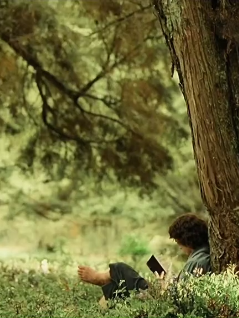 best trilogy oat #lotr #lordoftherings #darkfantasy 