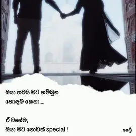 ඔයා තමයි මට හම්බුන හොඳම කෙනා ඒ වගේම ඔයා මට ගොඩක් special 🥺❤️‍🩹 #foryou #foryoupage #fyp #shely_quotes #Love #viral #trending 