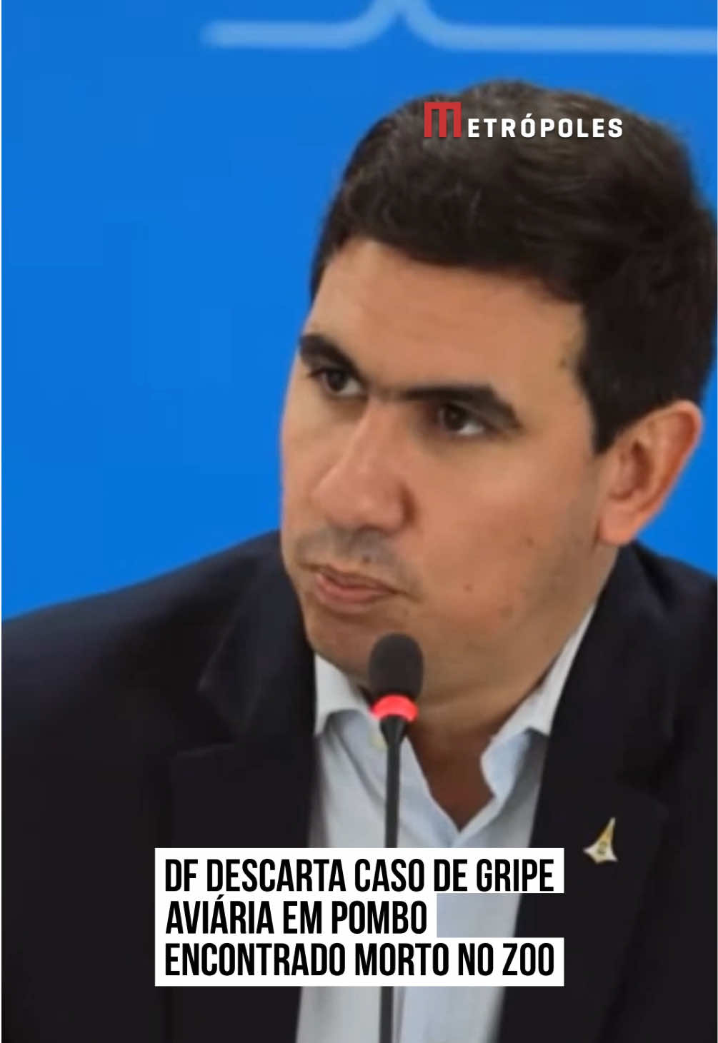 O secretário de Agricultura do Distrito Federal, Rafael Bueno, disse que o pombo encontrado m0rto no #Zoológico de Brasília não estava com #gripeaviária, como o irerê que testou positivo para a doença. “Os animais não estavam juntos. O irerê foi encontrado na sexta-feira e o pombo na segunda-feira, em outra localidade. O resultado da amostra coletada no pombo deu negativo”, afirmou Rafael Bueno, nesta quarta-feira (4/6). Conforme revelou a coluna Grande Angular, do Metrópoles, um irerê (ave semelhante a um pato) testou positivo para a gripe aviária, nessa terça-feira (3/6), tornando-se o primeiro caso de #H5N1 na capital do país. Segundo o secretário de Agricultura, não foi identificado nenhum outro animal em um raio de 3 quilômetros do Zoológico de Brasília estava com sintomas da doença. “Antecipadamente, assim que iniciamos protocolo de necropsia, deslocamos outras equipes para atuar no raio de 3 quilômetros nos quais foram visitados todos os locais com aves e também casas agropecuárias que fazem comercialização de animais vivos. Não foi localizado nenhum animal morto ou com sintomas da doença”, afirmou. O secretário de Agricultura alertou a população para que fique atenta aos sintomas da gripe aviária e reporte qualquer suspeita para a pasta, pelo WhatsApp (61) 99154-1539. Os sintomas são: Pescoço tombado; Tosse; Espirro; Diarreia; Animal cambaleante ou morto. O secretário de Saúde do DF afirmou que o pedido do Zoológico de Brasília ocorreu para robustecer os EPIs do local, ou seja, não faltavam equipamentos de proteção no local. O presidente do Zoo, Walisson de Oliveira, afirmou que a instituição pediu “apoio” à pasta para complementar o estoque. #TikTokNotícias  🎥 Agência Brasília