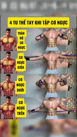 4 tư thế tay khi tập ngực với dây kháng lực#daykhangluc #daypowerband #tapluyenmoingay #taptaytainha 