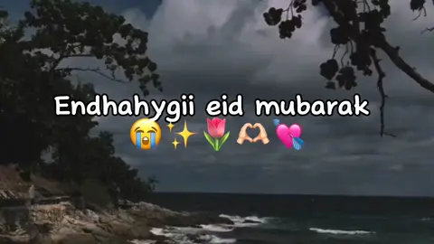 Udir qof eid mubarak kasu goysid😭👍#fyp #viral #somalitiktok #viral_video 