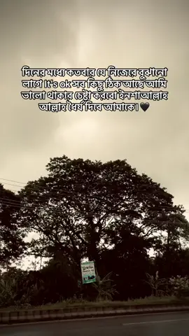 দিনের মধ্যে কতবার যে নিজেরে বুঝানো লাগে It's ok সব কিছু ঠিক আছে আমি ভালো থাকার চেষ্টা করবো ইনশাআল্লাহ আল্লাহ ধৈর্য দিবে আমাকে।🖤 #muhammad_taohid  #copylinkplease💗  #repost❤️🙌🏻  #foryoupage  @TikTok Bangladesh 