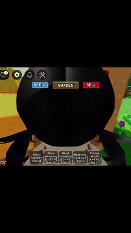 I just watched and laughed lol #growagarden #funny #robloxgrowagarden #roblox #lol #fyp #growagardenfyp #fyppppppppppppppppppppppp 