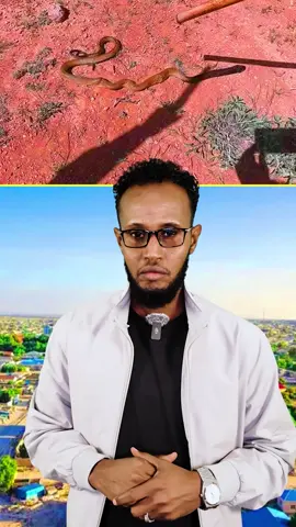 MAS halis ah oo gabdho walaalo ah dilay #Husseinabdulle #AfricanSports #Muqdisho #foryoupage 