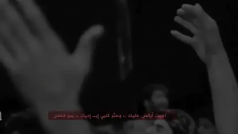 يبو فاضل💔#محمد_باقر_الخاقاني  #محمد #باقر #الخاقاني #سيد_سلام_الحسيني #العراق #ياعلي #ياحسين  #viral #tiktok 