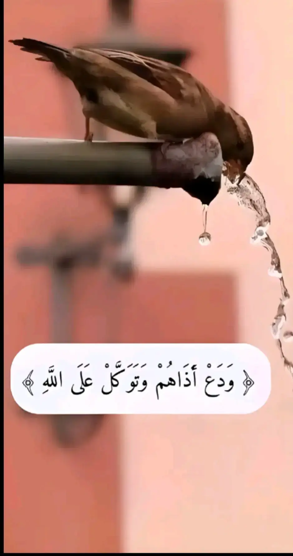 #حزيــــــــــــــــن💔🖤 #الشعب_الصيني_ماله_حل #حالات_واتس 