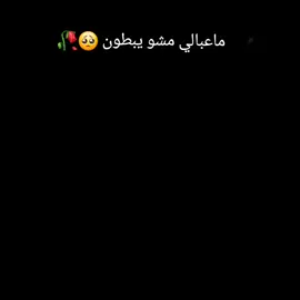 #ماعبالي_المشو_يبطون🥺💔 