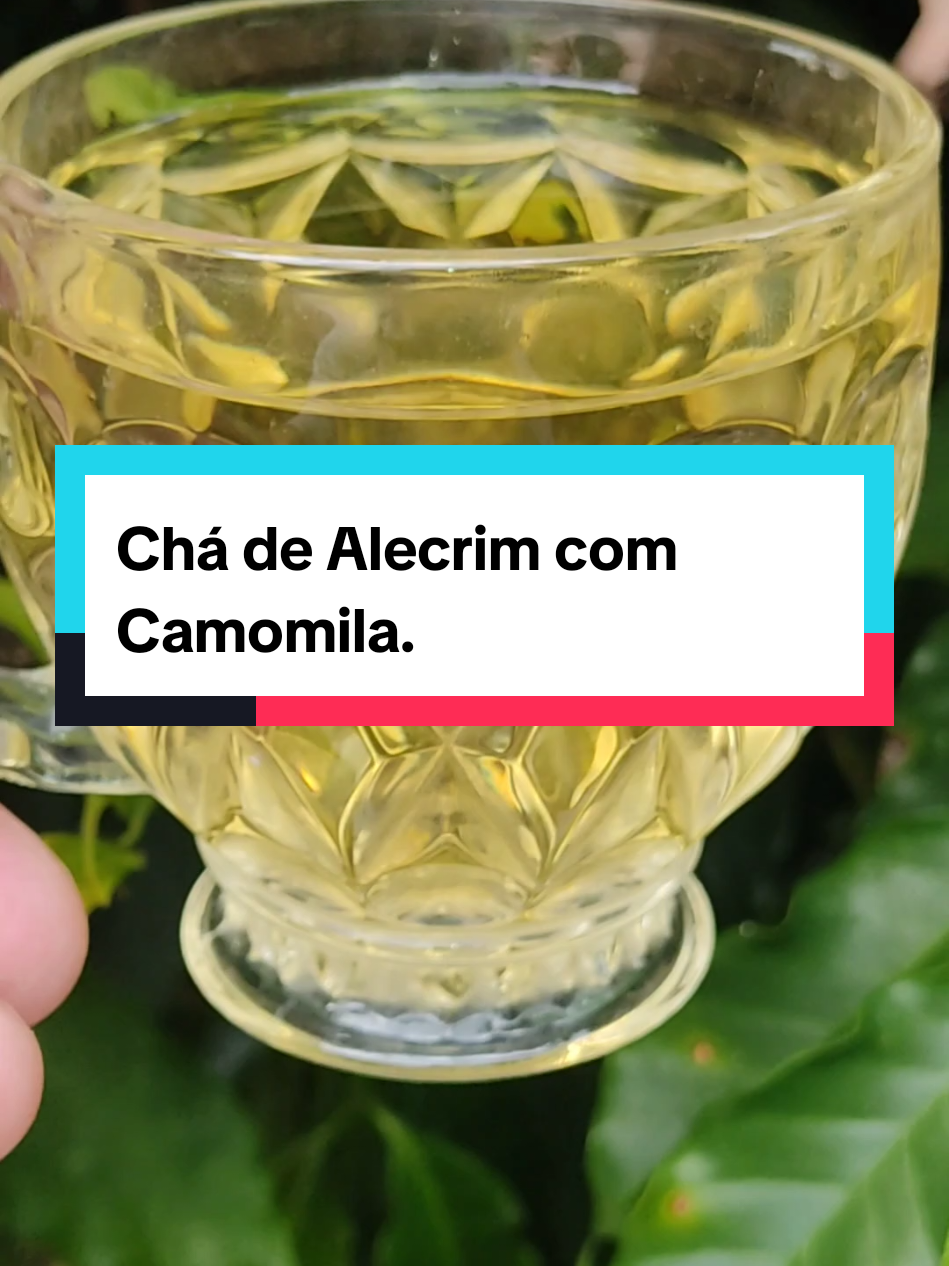 CHÁ DE ALECRIM COM CAMOMILA #beneficios #receitasnaturais #dicas #saùde 