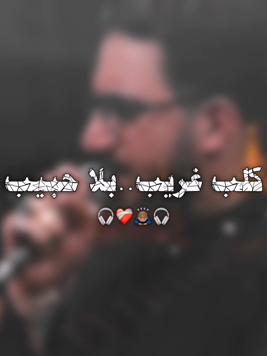 كلب غريب بلا حبيب ❤️‍🩹🎧 . .  . . . . . . . . . . . . . . . . . . # #سيد_سلام_الحسيني #تصميم_فيديوهات🎶🎤🎬 
