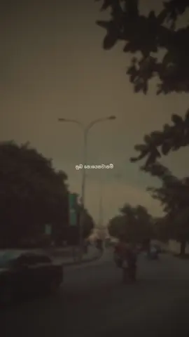 විදි වේදනා හමුවේ නොසැලී සිටින්නම්..🥺❤️‍🩹 ~ Piharuwak Se |@RAMIDU  #denzo #pihatuwakse #raminduyashmintha #slowreverb #viral #trending #vibes #whatsappstatus #Love #lyrics 