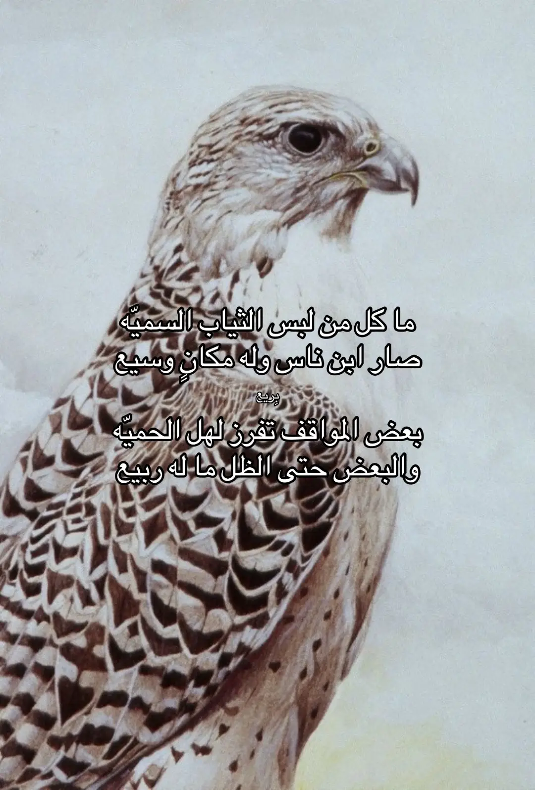 #foryou #fyp #f #قطر 