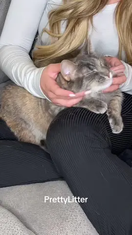 #Ad Cats are so good at hiding illness—even when you’re a vet. One day I saw Zoey’s PrettyLitter turn blue. She was acting normal, but I knew that might mean a UTI. I brought her in for testing, and we caught it early. @PrettyLitter Inc helps you monitor your cat’s health every day through simple color changes. It’s low dust, lightweight, controls odor—and it gave me peace of mind when I needed it most. #PrettyLitter 