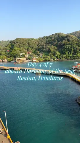 One of the most beautiful places I’ve been! I still think about how perfect the water is and how tasty that ice cream was 🤤 @Royal Caribbean #harmonyoftheseas #royalcaribbean #roatan #roatanhonduras🌴🇭🇳 #travelingwithkids #travelingwithbabies #traveltiktok #cruisetok #cruiseship #cruise #fyp #fypシ #toddlersoftiktok #toddlermom #MomsofTikTok #mom #momtok #motherhood #momlife 