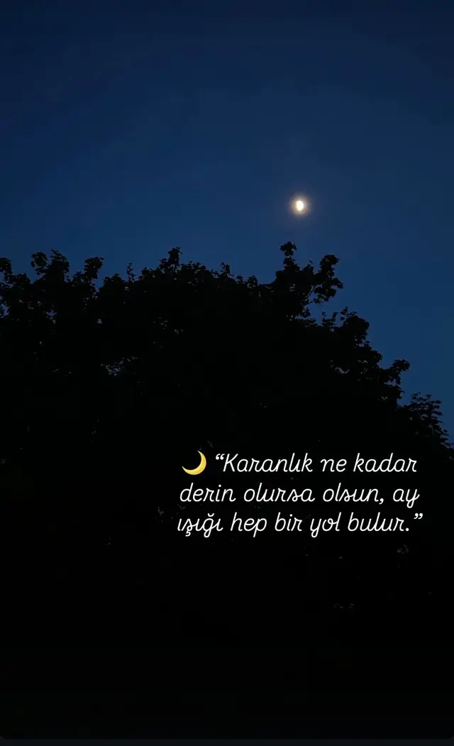 Karanlık ne kadar derin olursa olsun ay ışığı hep bir yol bulur.. 🌙  #geceyebirsözbırak #ayışığı #gokyuzu 