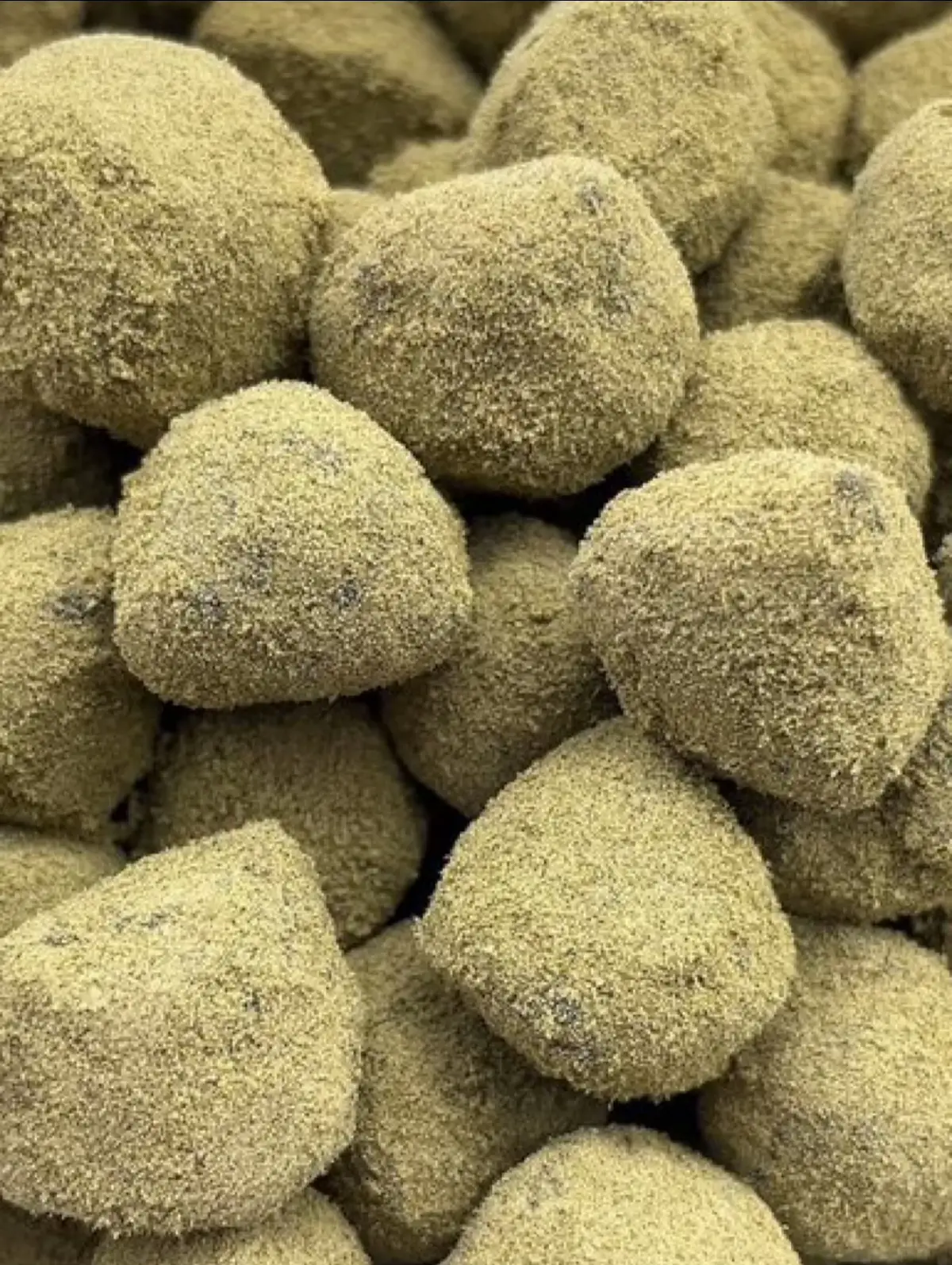 #cali #italy #fyp #fypsounds #fypdong #germany #australia #austria #ireland #canada🇨🇦 