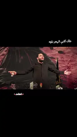 خدام الحسين ❤️‍🩹  ملا حسين اهات  الذاكر سجاد الجيزاني  #حسين_اهات  #سجاد_الجيزاني 