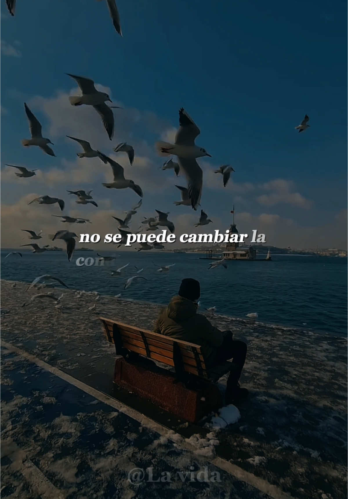 #reflexion #Motivacion #exitopersonal #fe #Dios 