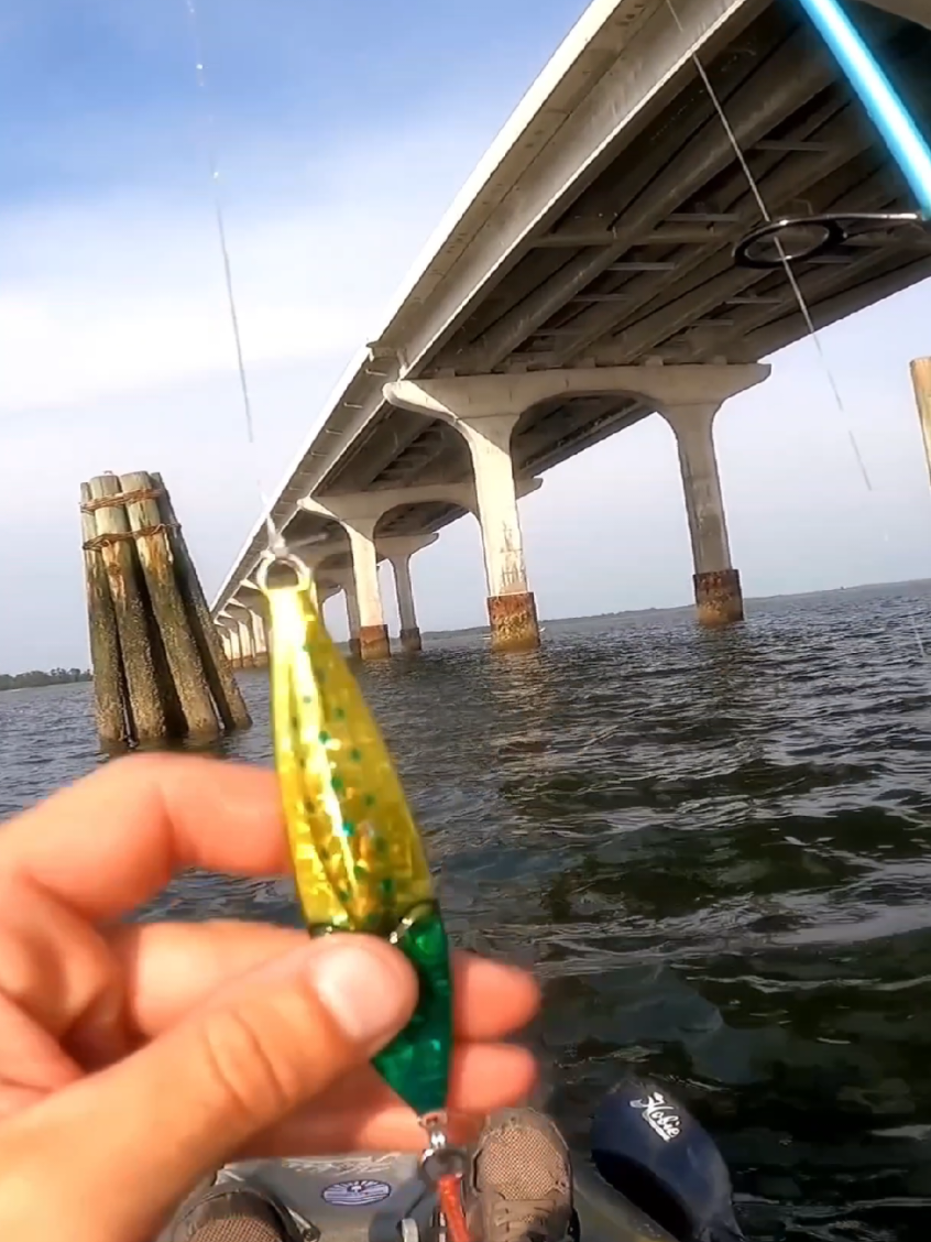Savage Gear Squish Jig for Cobia! #fyp #fishtok 