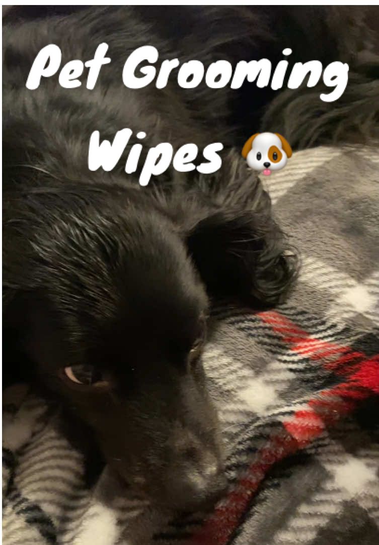 Quick and easy! 🐶  #pet #pets #petgrooming #dogs #cats #pethacks #dogmom #doglover #petproducts #pethygiene #groomingdog #groomingdogs 