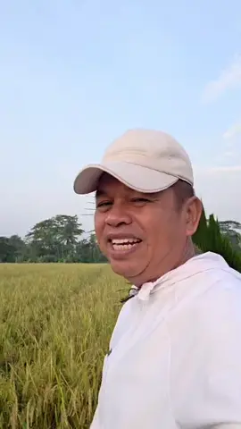 Mengorbankan rasa yang kita miliki untuk tidak mengikuti ego, itupun bagian dari pengorbanan hidup  #dedimulyadi #kangdedimulyadi 