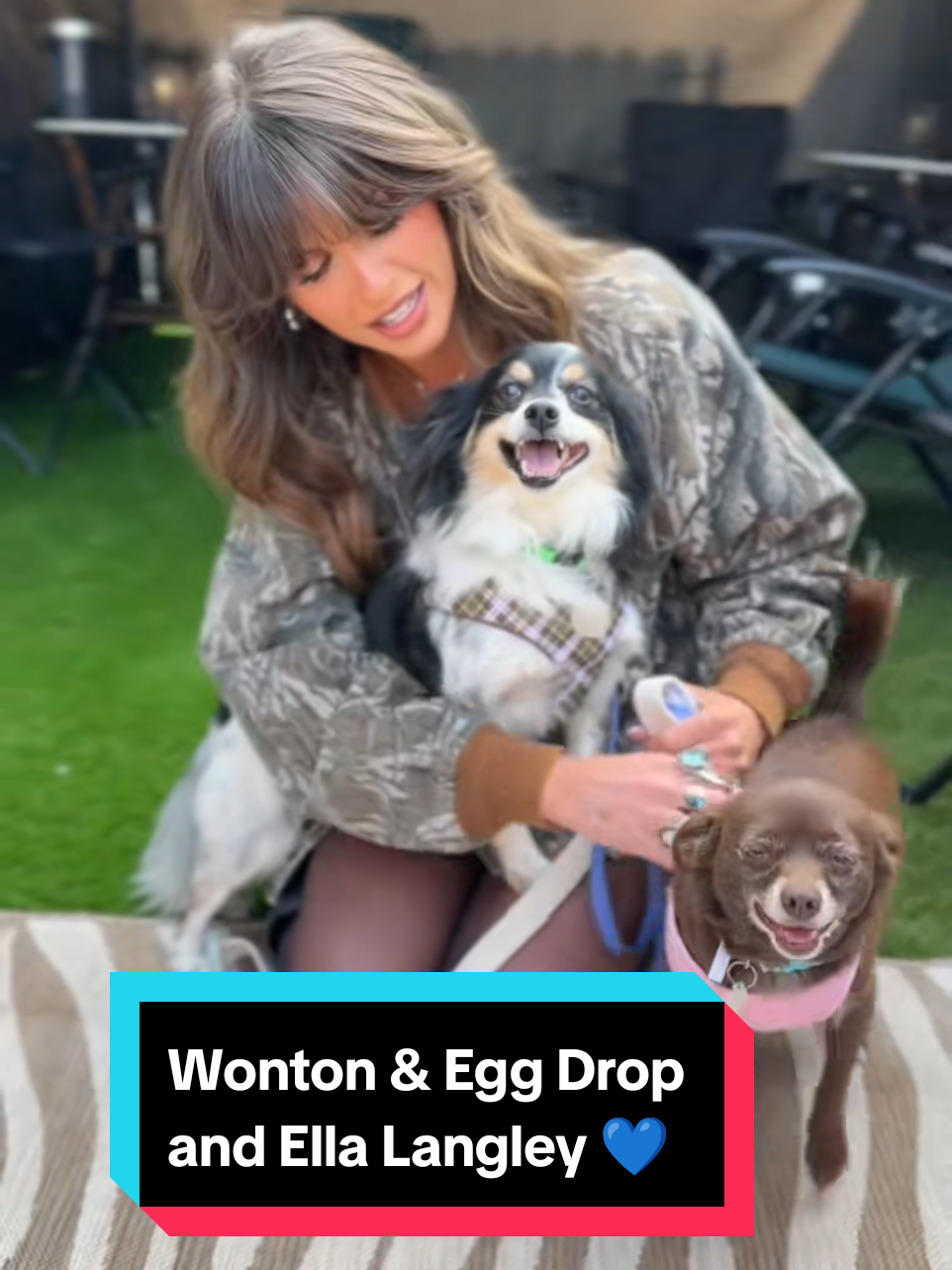 MARL dogs Wonton & Egg Drop enjoyed being serenaded by the amazing @Ella Langley 💙 Big thanks to @Rob and Holly Show! for the collab 💙 #marl #animalshelter #rescuedog #chihuahua #adoptdontshop 