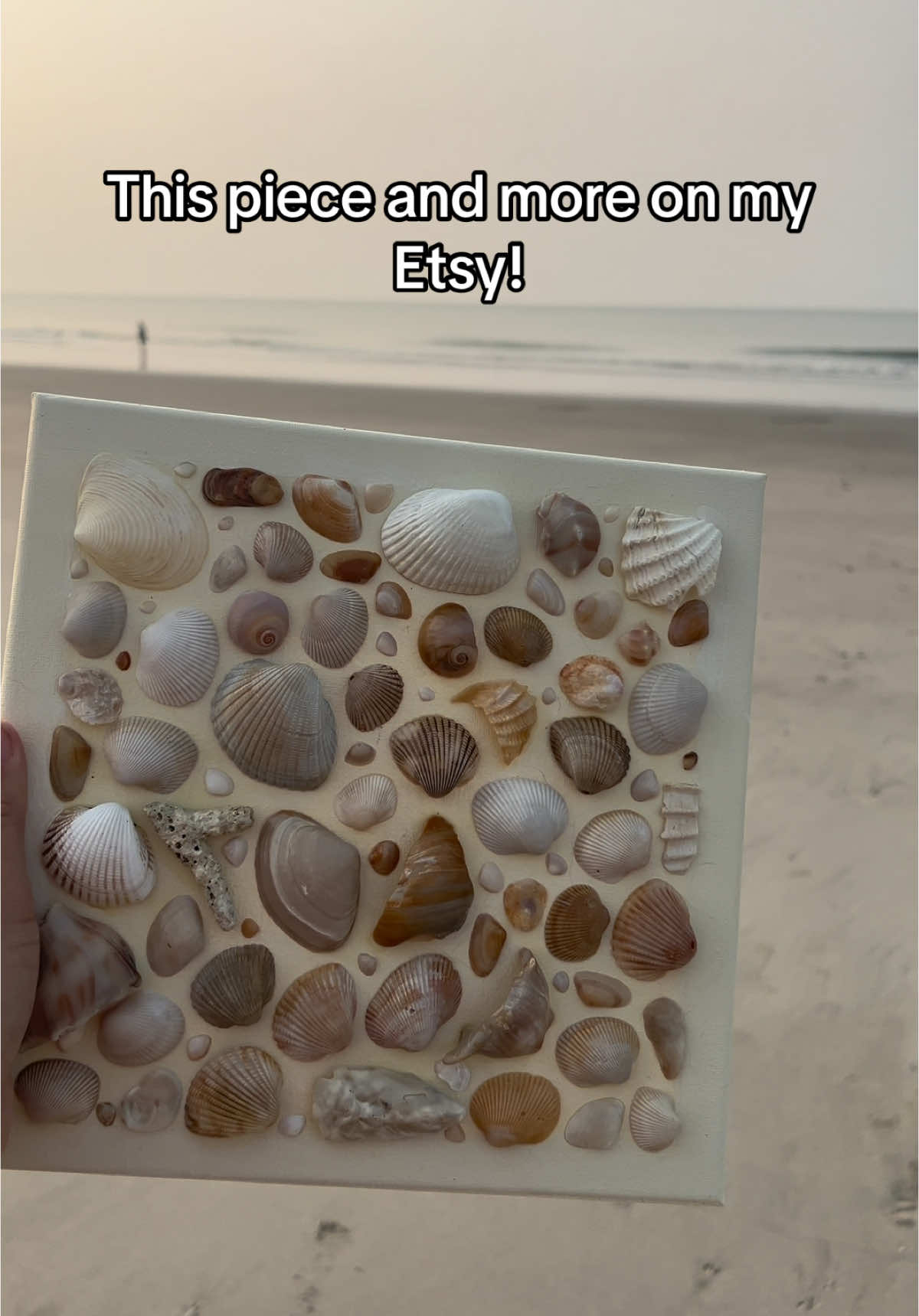 “Shaped by the Sea” is for sale now on my Etsy shop! Link is in my bio◡̈ #seashell #art #timelapseart #painting #shell #charlestonsc #beach #beachart #Summer #shellart #coastal 