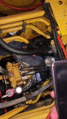 Lelah mu 70 hari akan dibayar 14 hari #fypシ゚ #xybca #tambangbatubara #mekanikmuda #cutie 