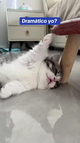 Yo? Dramático? Naaa #comedia #doblaje #animals 