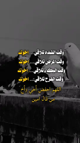#الاخ_سند_بعد_الاب #عبارات_جميلة_وقويه😉🖤 #تصميم_فيديوهات🎶🎤🎬 #viraltiktok #trending 