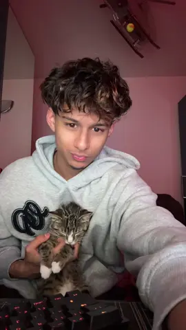 bro was falling asleep in my lap probably shoulda let her rest #fyp #viral #relatable #real #cats #kitten 