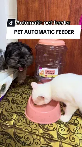 Large capacity Pet automatic water feeder dog cat water dispenser food feeder cat essential for dogs cats food dispenser kainan ng pusa set dog drops bowl pagkainan ng dog set ✨ #petfeeder #petautomaticfeeder #dogfeeder #catfeeder #petfoodbowl 