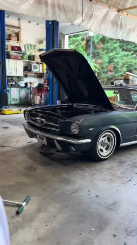 Blueberry is gonna be reeeeally fast 🫣 video coming Friday! #tomsrefurb 