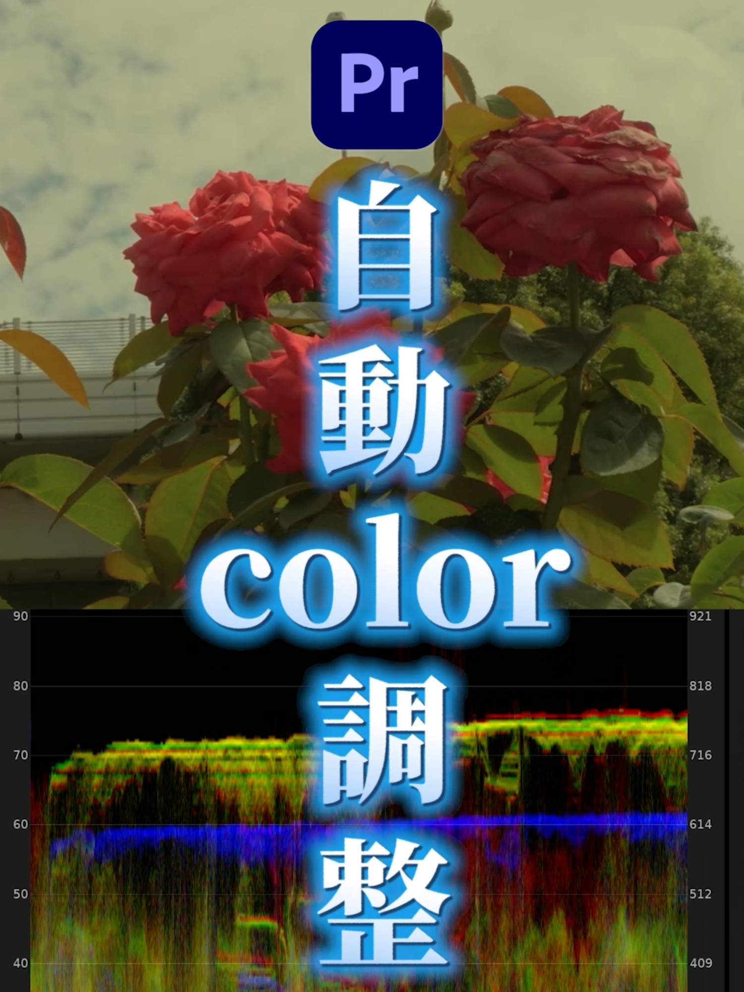 🎨1クリックで色が激変!?【Adobe Premiere Pro】✨ 動画の色味がイマイチでも大丈夫！👀💡 ワンクリックで自然なカラーに大変身しちゃうよ🌈 さらに、豊富なLookフィルターで自分好みの雰囲気にアレンジも簡単😍🎬 ぜひ一度、Lumetriカラー試してみてね💻💖 #PR #AdobePremierePro #color #カラー #自動調整 #動画編集 #AdobePartner @adobejapan