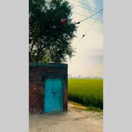 Tension 🥺❤‍🩹 #just #1M #Village #Punjabiculture #punjabikhatibadi #สโลว์สมูทสปีดสโลว์ @Imran Khan Official 