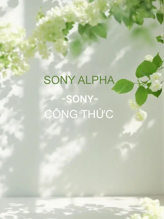 Dành cho các máy Sony có hệ thống Creative Look mới như A74, A7C2,... #xuhuong #Sony #filmlook 