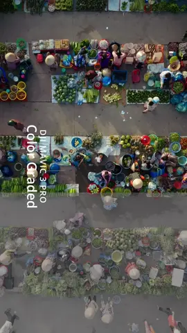 Sắc màu chợ chồm hổm Vị Thanh (Hậu Giang) trong nắng sớm #colorgrading #davinciresolve #dulichvietnam #MiềnQuêViệtNam #chợ 