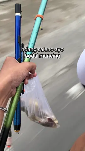gek ndang ayo#fyp #4u #mancingikan #mancing #