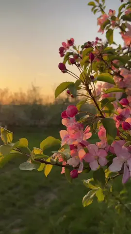 Rabb'ine tam bir teslimiyetle güven #huzur #motivasyonsözleri #huzunluvideolar #dua 