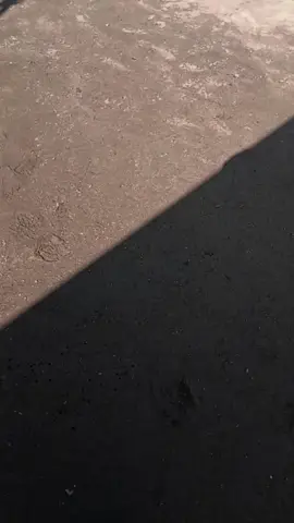 😅😅😅😅😅😅😅 #foryou #foryoupage #fyp #storywa #yzxcba #storytime #lewatberandafyp #masukberandafypシ #masukberanda #stories #story #storykuli #kuliproyek👷🏼 #fyppppppppppppppppppppppp #bahanswmu #fyp #fypage 