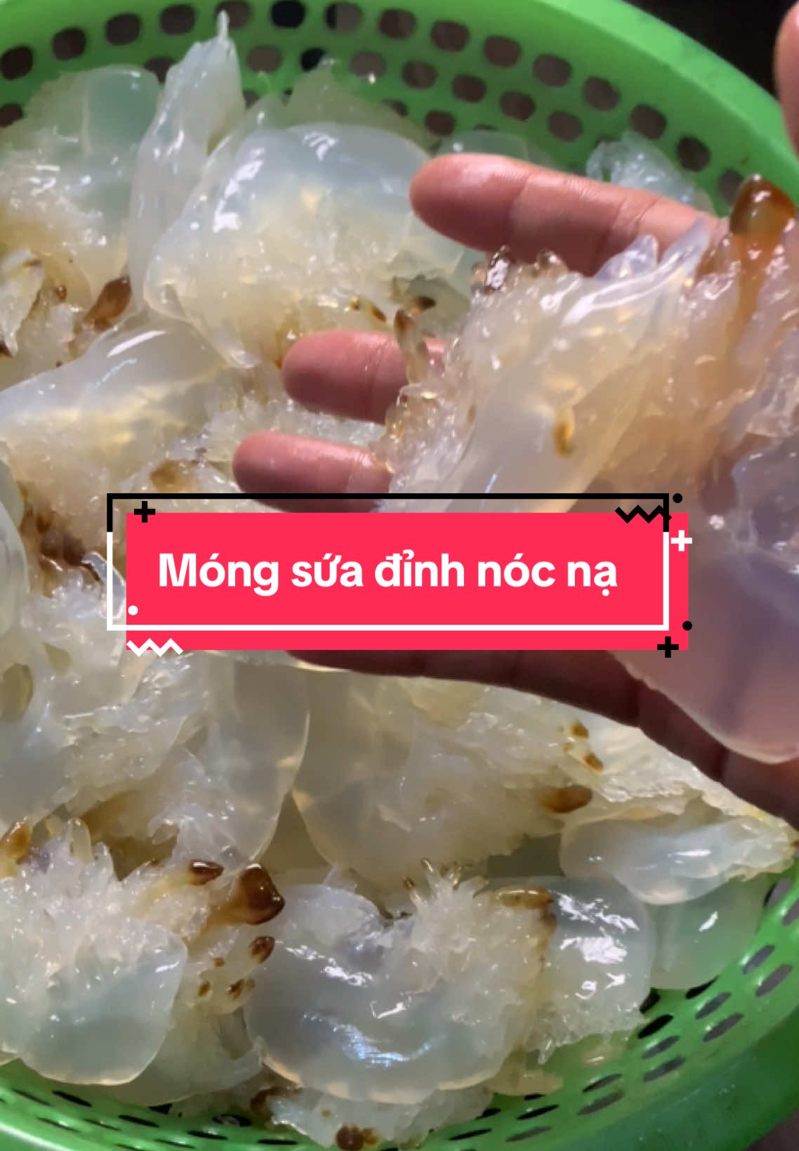 Sứa chân ăn đã luôn các bác#sứa🐙 #sứa #xuhuongtiktok 