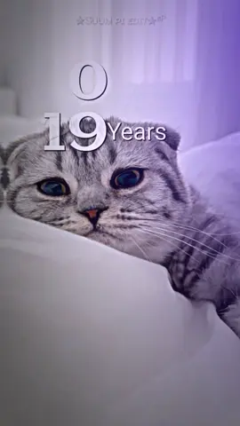 4.6.2025😔19+1=20မေ့တောင်မေ့နေတာ😔#views #fypage #10kပြည့်ဖူးချင်လို့ 