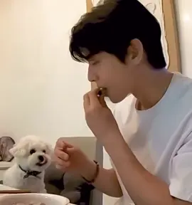 Aww, this is the sweetest thing ever! 😍 Eunwoo sharing his food with Dongdongie 🐶❤️ The bond between them is truly heartwarming ❤️ #ChaEunWoo #Dongdongie #DogParentGoals #fyppppppppppppppppppppppp #foryou 