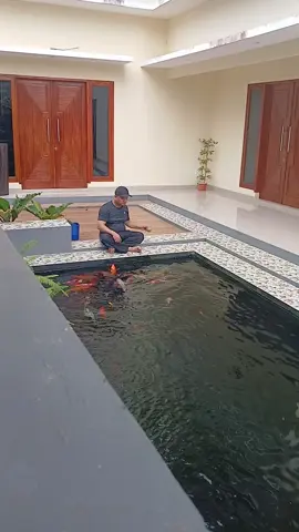 santai....#koi