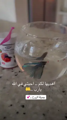 اللهم امين … منشن من تهديها له #اكسبلورexplore #يوم_عرفه🕋 #الصينين_مالهم_حل #foryoupage #ترندات_تيك_توك #تصويري📸 