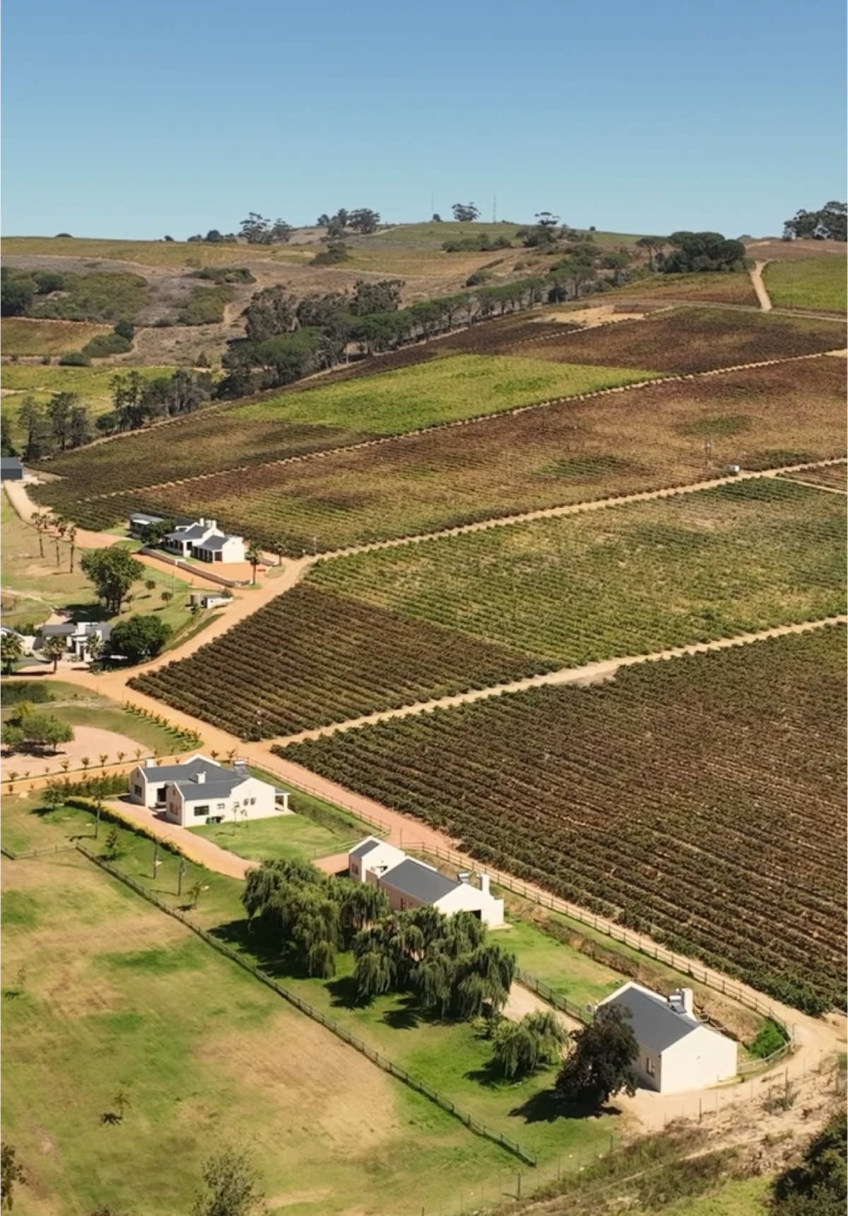 Explore this Exclusive Stellenbosch Boutique Wine farm & Wedding venue  13 Bed | 15 Bath | 31ha Farm  Listed by: Michelle Pienaar & Liezl Van Der Merwe  Own a 31- hectare luxury estate with stunning vineyards, multiple homes, world-class event spaces, and endless potential.  From elegant function venues to a chef’s kitchen, 22ha of vines and top-tier security- this boutique wine farm is the ultimate lifestyle and investment opportunity.  R43,900,000 #stellenbosch #boutiquewinefarm #wineestate #luxuryrealestate #luxuryhomes #luxurylifestyle #luxuryliving #weddingvenue #winelands #buy #sell #list #agents #southafrica #wysjouhuis #volheys #exclusive 