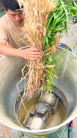 Feed pellet machine manufacturer#TikTok #wood #pellet #machine